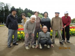 咲いた咲いたチューリップの花が・・・